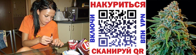 как найти   Дубовка  Бошки марихуана OG Kush 